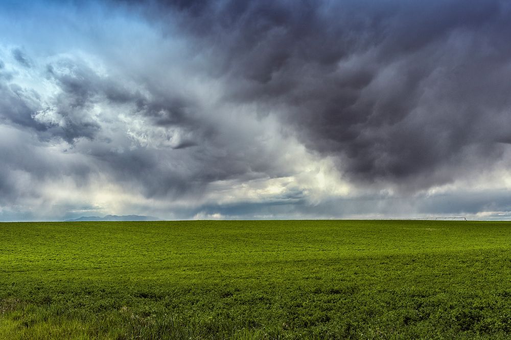 Lush fields under threatening skies in Montezuma County, Colorado. Original image from Carol M. Highsmith&rsquo;s America…