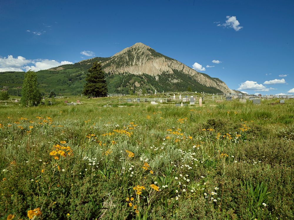 Landscape, including many wildflowers for which the area is famous, around Crested Butte, Colorado.