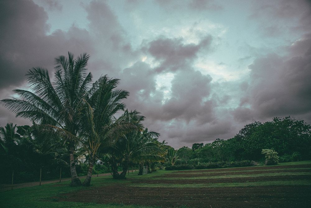 Clouds over a farm in Hawaii, United States