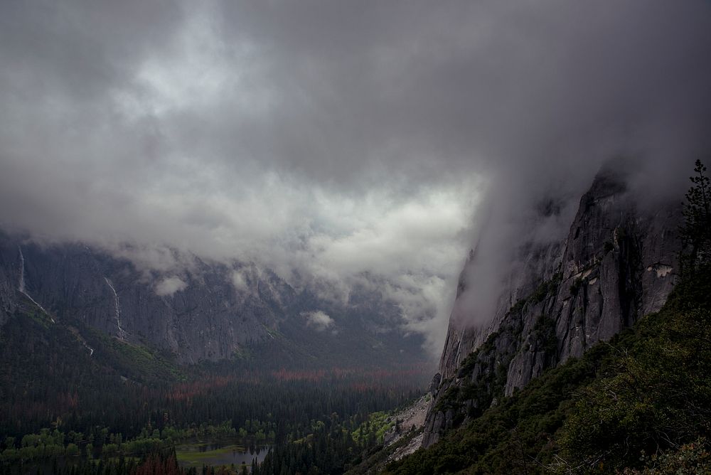 Beautiful nature at Yosemite National Park, USA