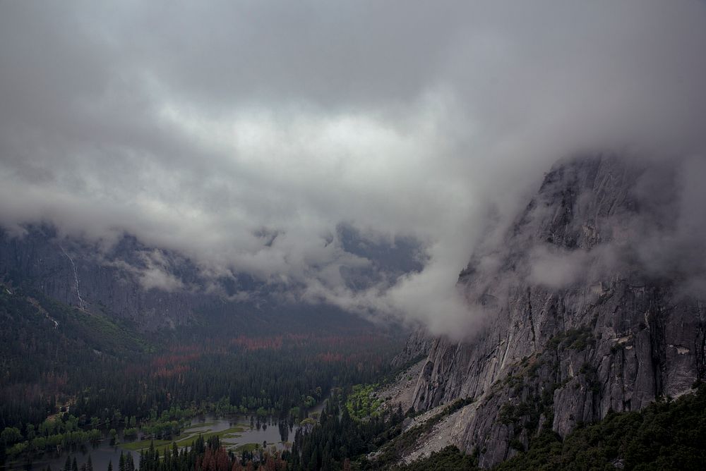 Beautiful nature at Yosemite National Park, USA