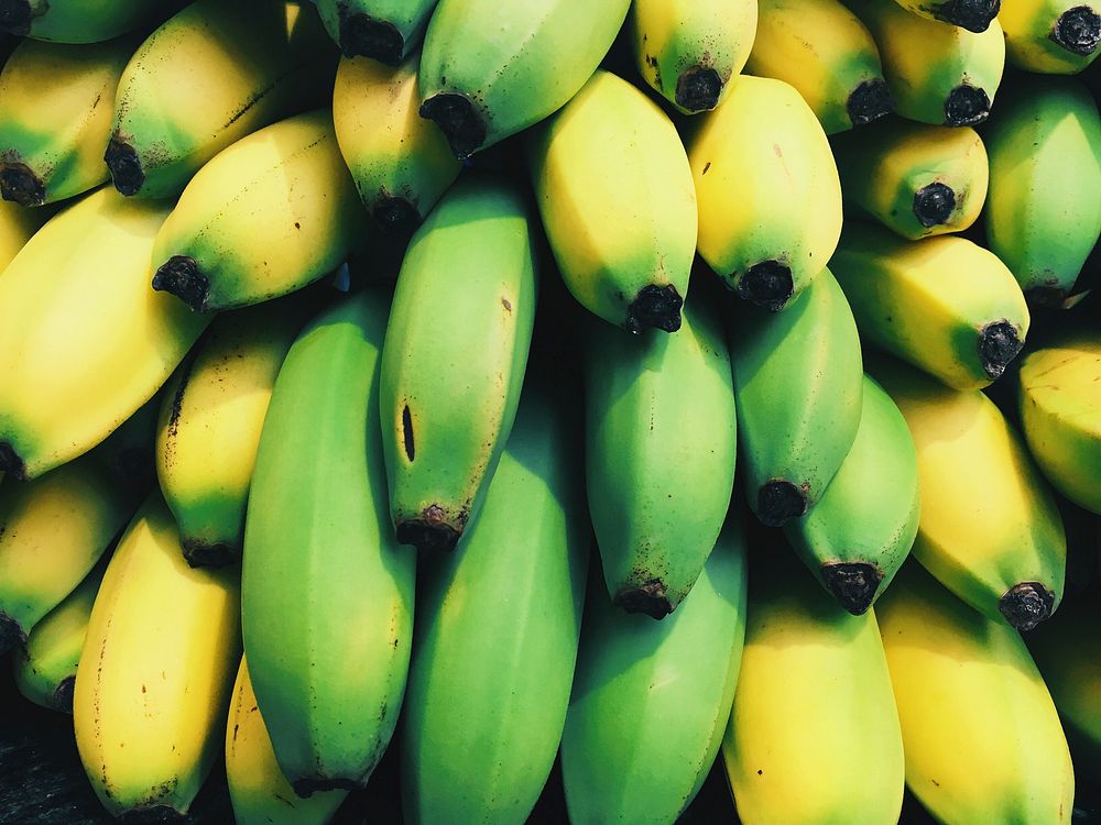 Close up of fresh bananas