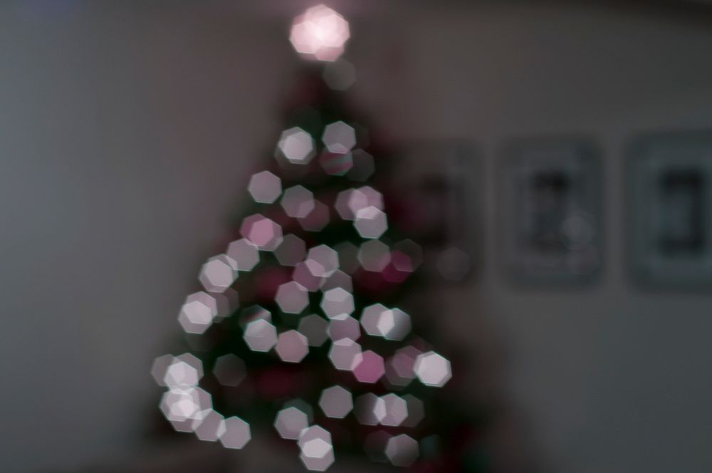 Burry lights of a Christmas tree