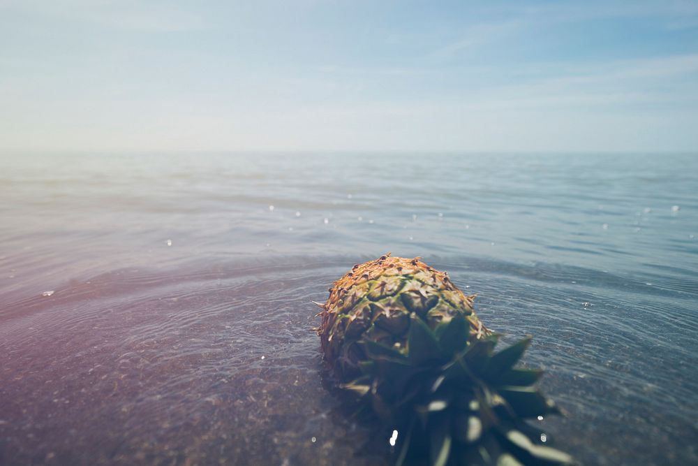 Pineapple lying in the sea water