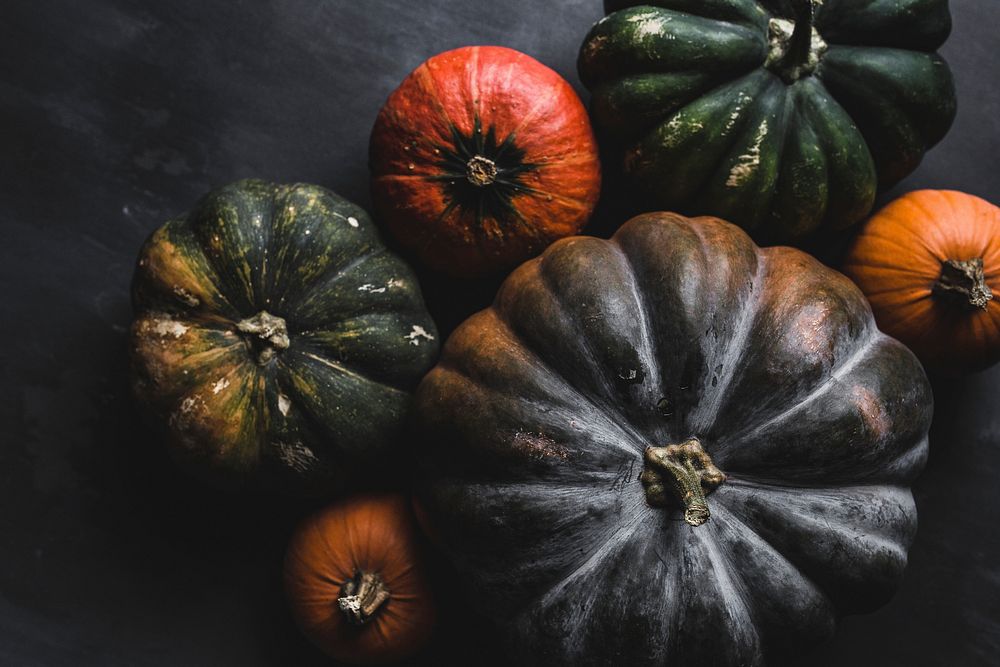 Closeup of various pumpkins. Visit Kaboompics for more free images.