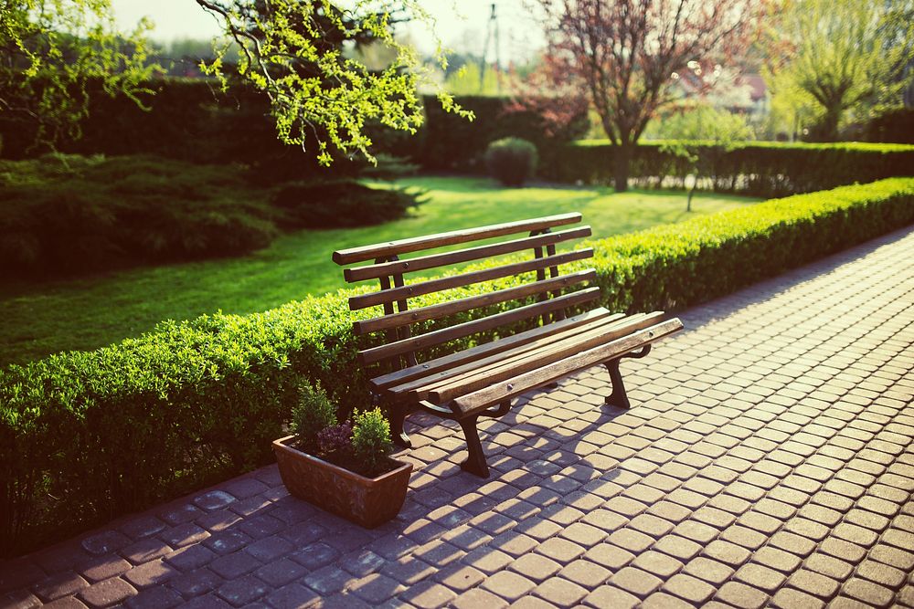 Park bench on a sidewalk. Visit Kaboompics for more free images.