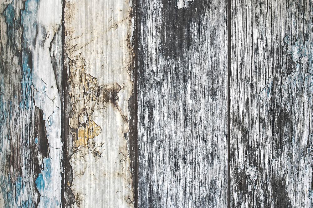 Close up of a wooden plank. Visit Kaboompics for more free images.