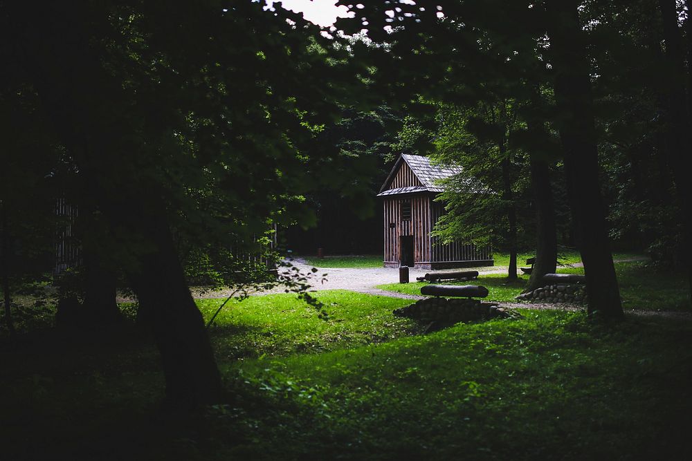 Wooden cabin in a forest. Visit Kaboompics for more free images.