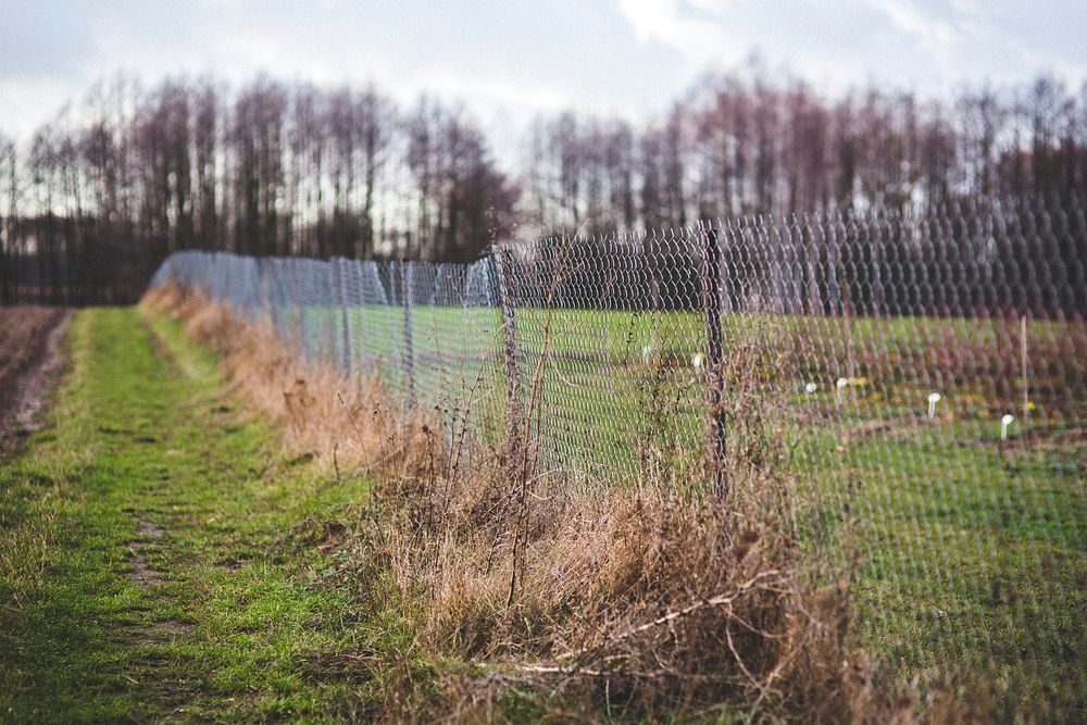 Fence separating the fields. Visit Kaboompics for more free images.