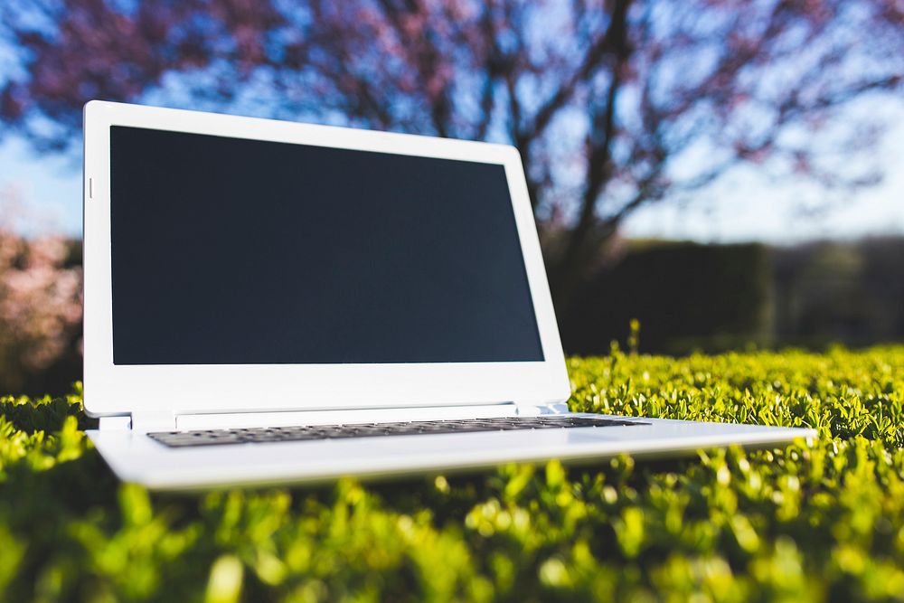 Laptop in the grass. Visit Kaboompics for more free images.