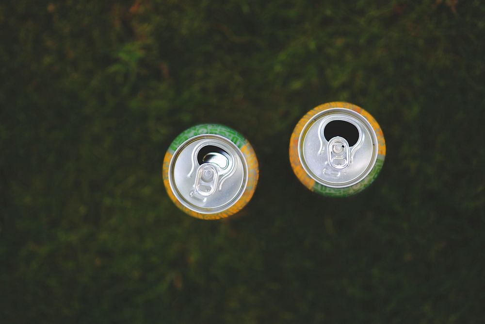 Two empty cans on a lawn. Visit Kaboompics for more free images.