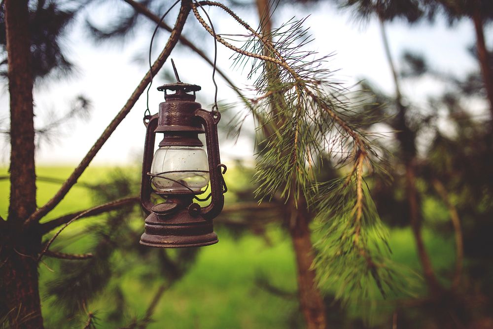 Old lantern hanging in the forest. Visit Kaboompics for more free images.