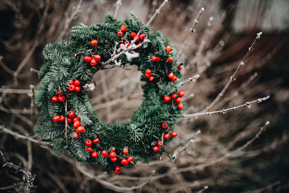 Pine tree Christmas wreath. Visit Kaboompics for more free images.