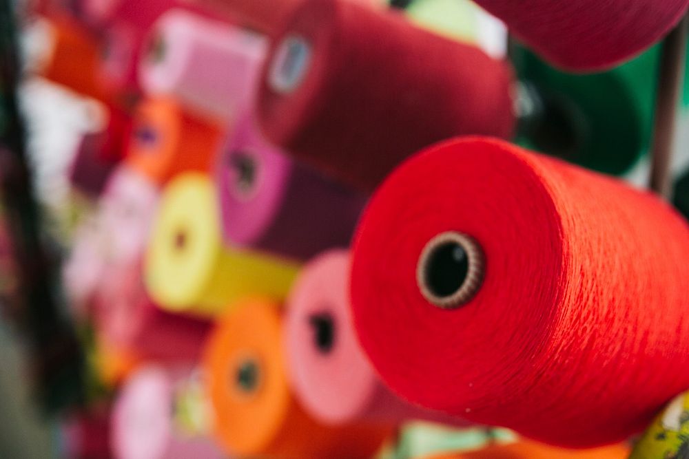 Spools of yarn on display. Visit Kaboompics for more free images.