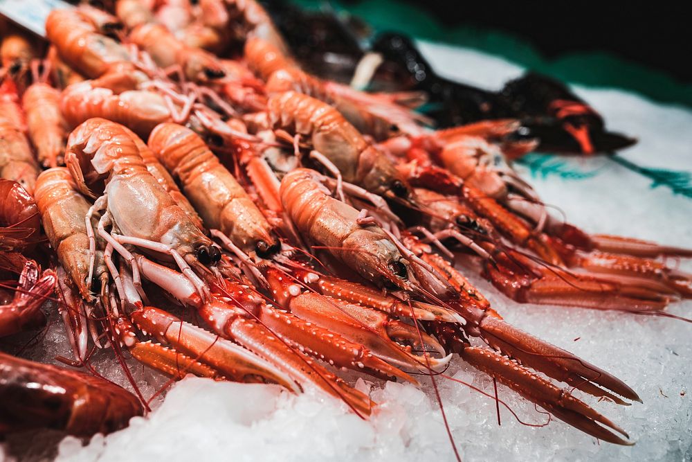 Steamed langoustines on ice. Visit Kaboompics for more free images.