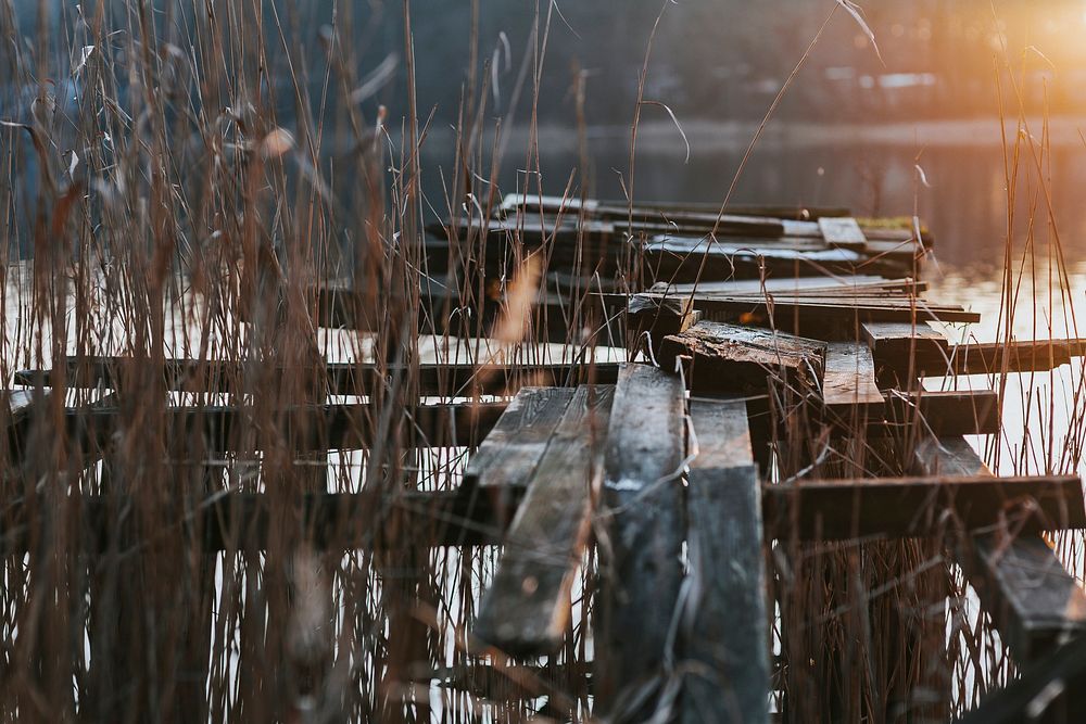 Broken wooden jetty by a lake. Visit Kaboompics for more free images.