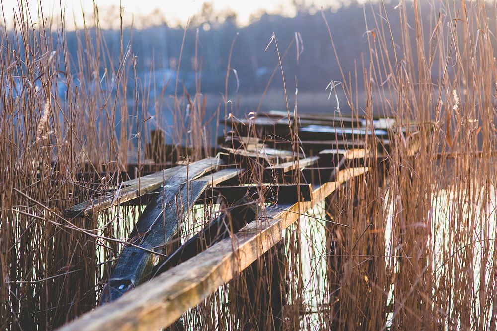 Old jetty by a lake. Visit Kaboompics for more free images.