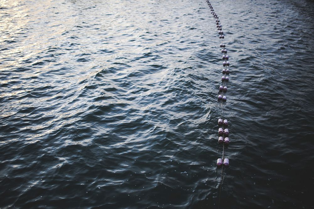 Buoys floating in the water. Visit Kaboompics for more free images.