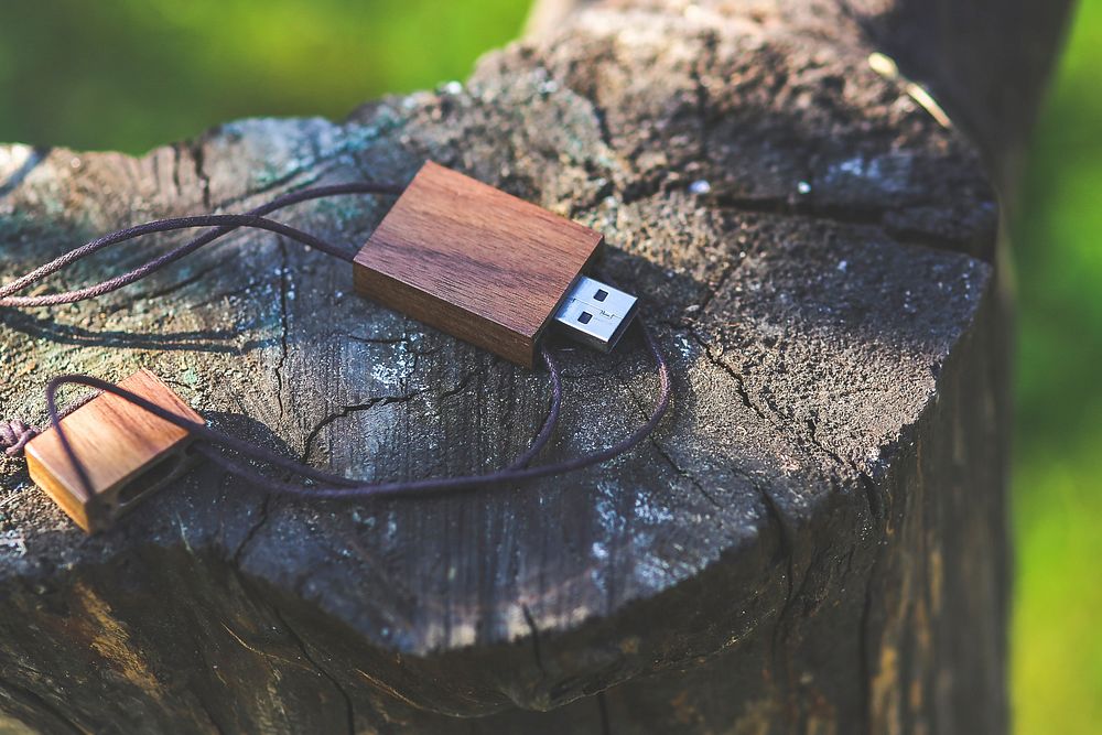 Wooden USB stick in the forest. Visit Kaboompics for more free images.