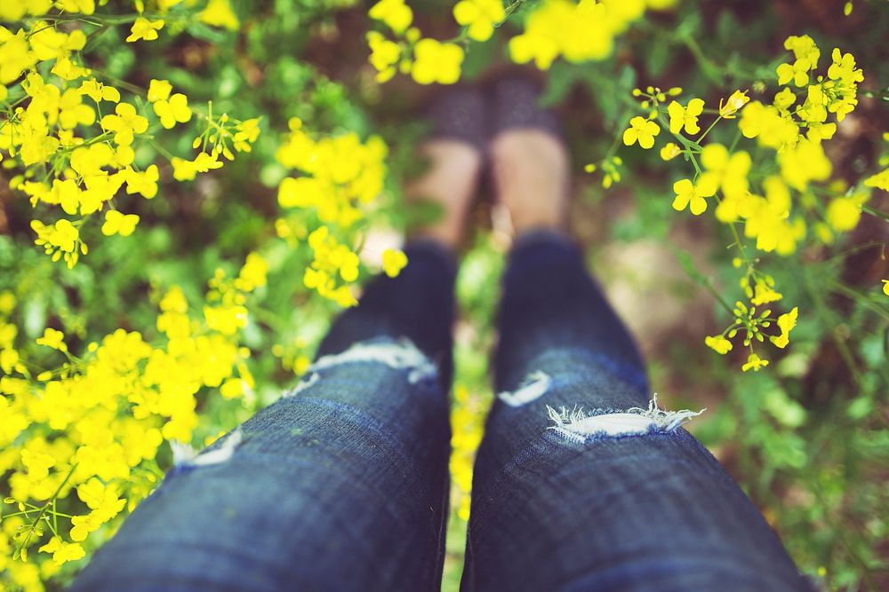 Woman standing in a field of yellow flowers. Visit Kaboompics for more free images.