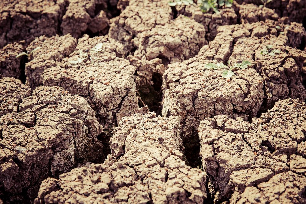 Close up of dried soil