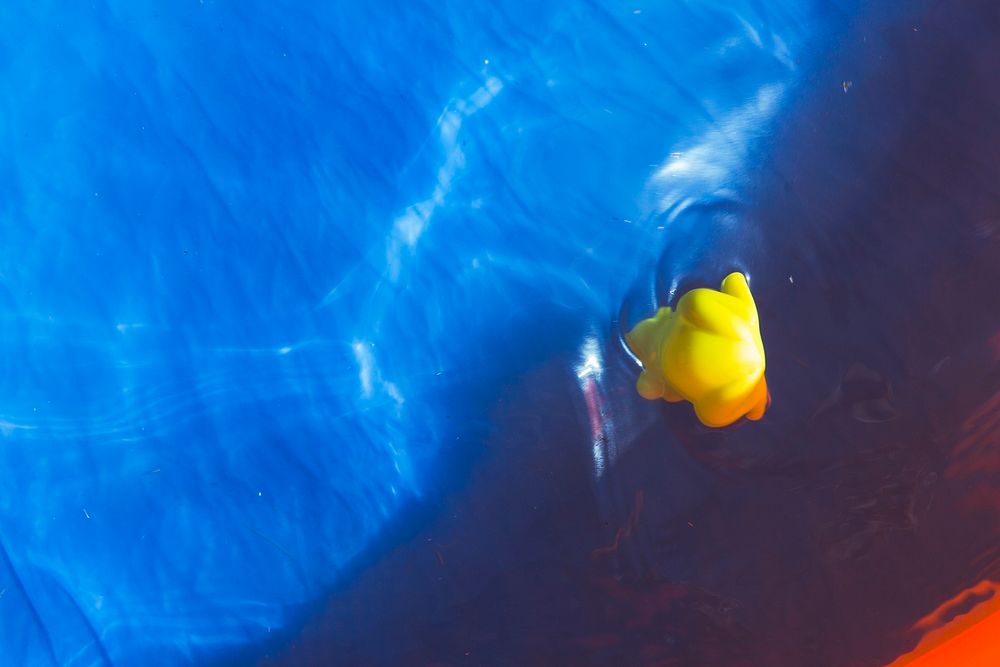 Rubber duck in the blue water