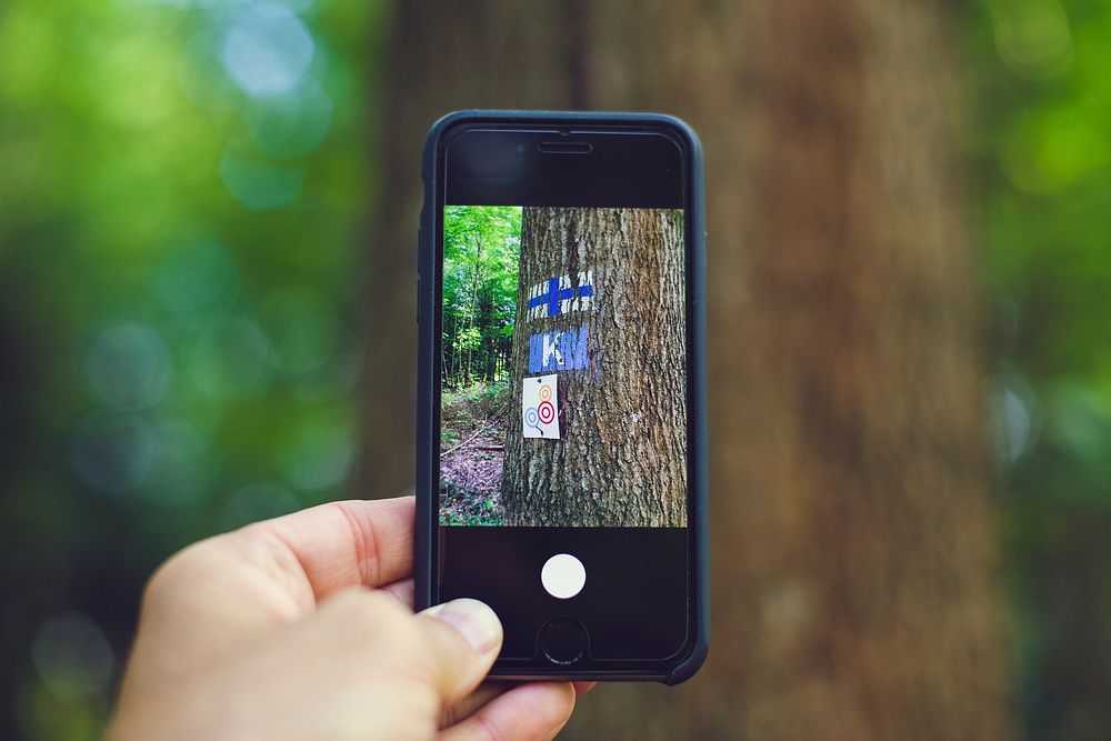 Man using his phone to capturing art on a tree trunk