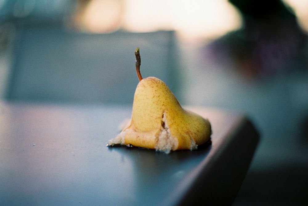 A windfall Bartlett pear on a table