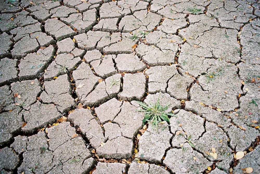 Dry cracked earth textured wallpaper