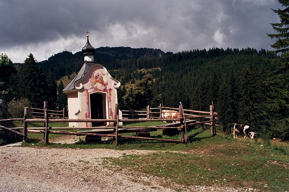 Small chapel and cows in Germany