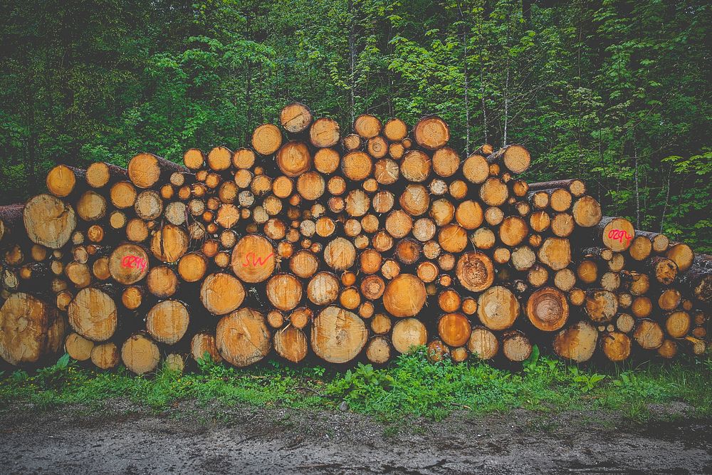 Carbon neutral firewood, Hintersee, Ramsau bei Berchtesgaden, Germany