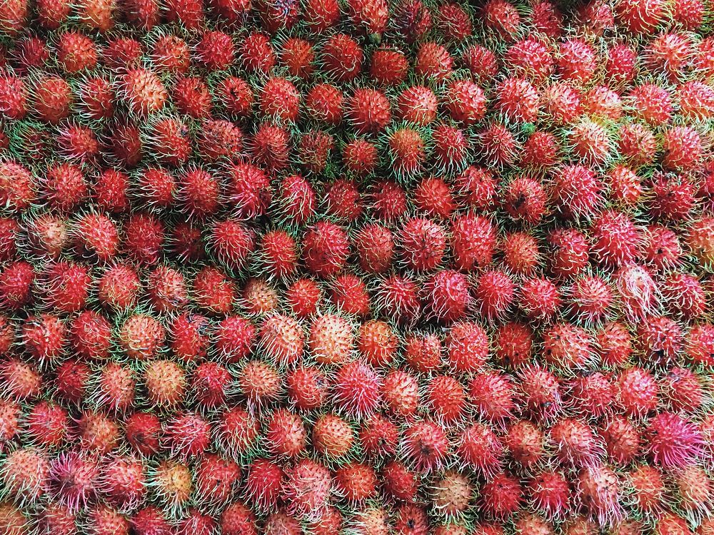 Load of rambutan fruits