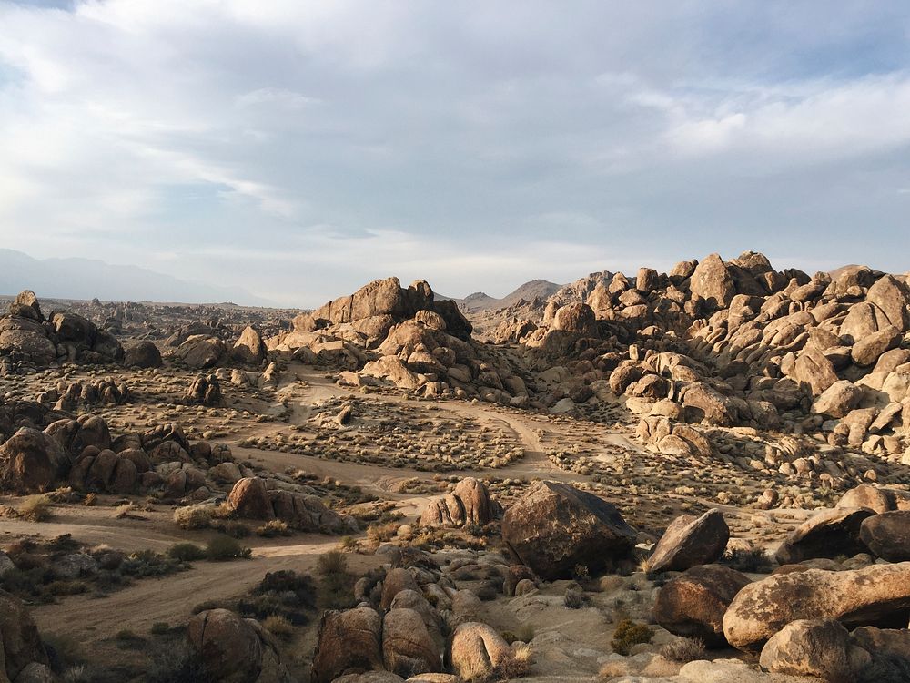 Death Valley in Joshua Tree National Park,  California, United States