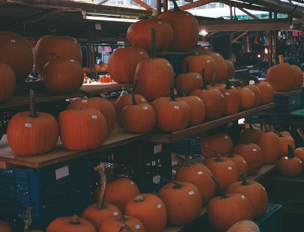 Fresh pumpkins at a farmers market