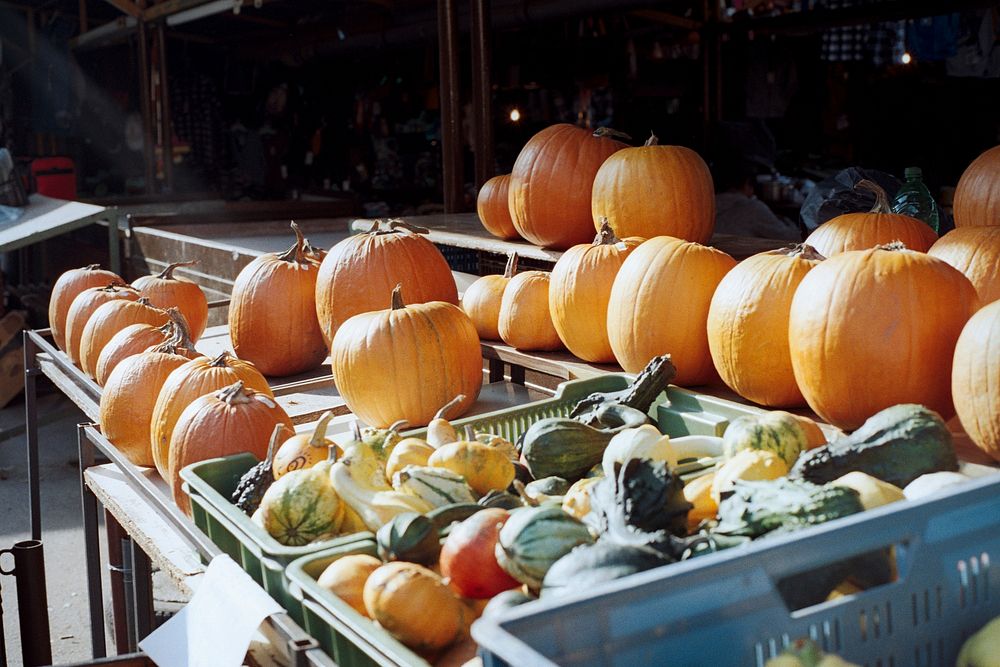 Fresh pumpkins at a farmers market