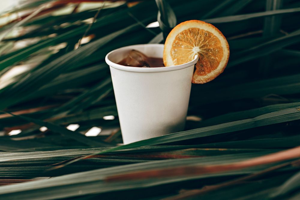 Cold drink in a paper cup