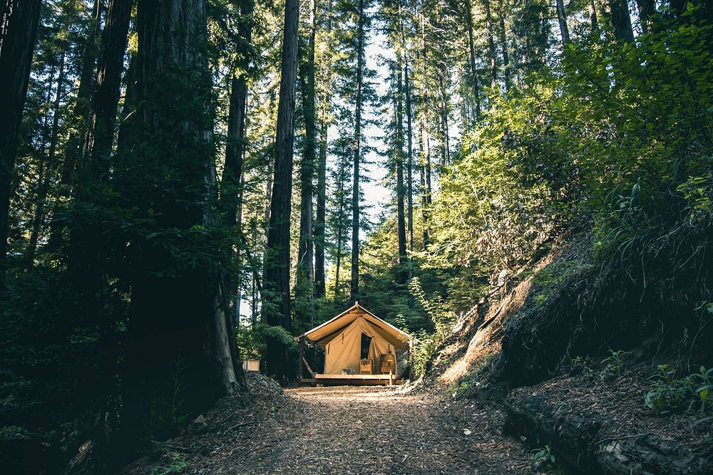 Camping house in the Redwoods of Big Sur, California