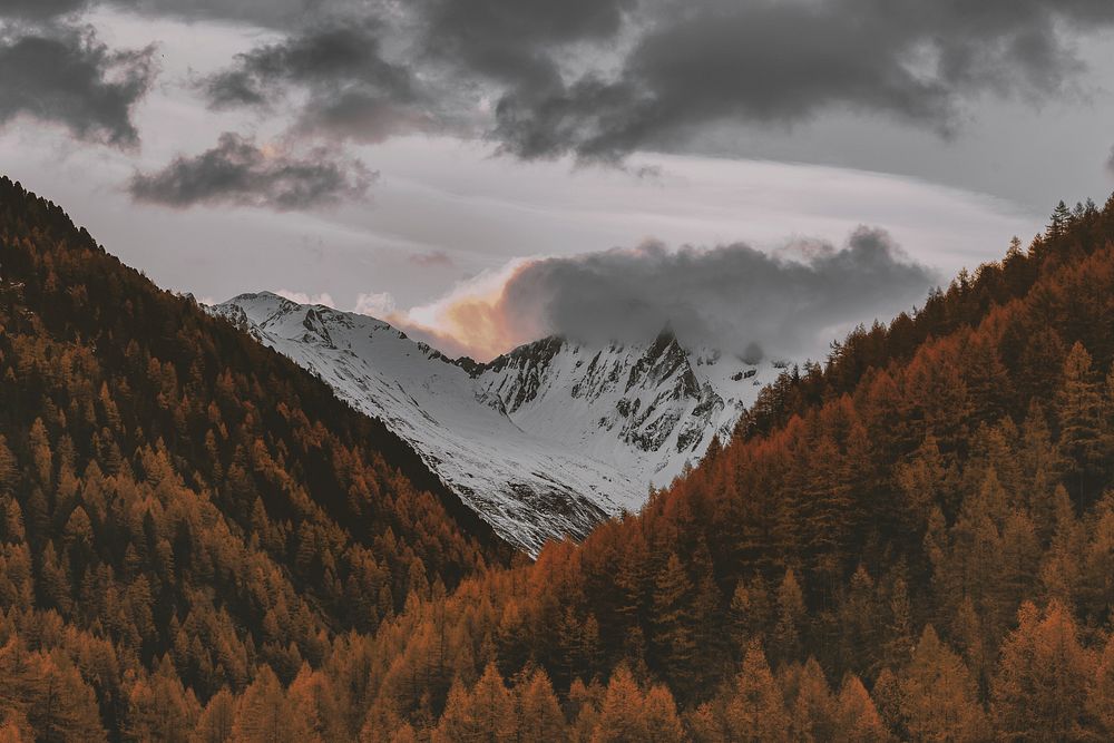 Yellow leaves mountains under a cloudy sky