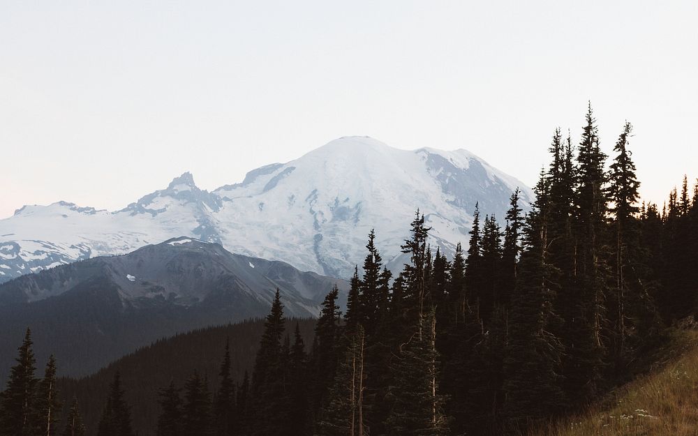 View of Mount Rainier National Park in Washington, USA