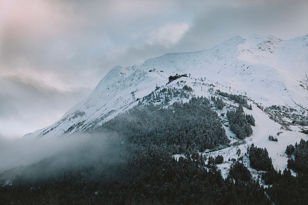 Snowy girdwood mountain alaska views in winter