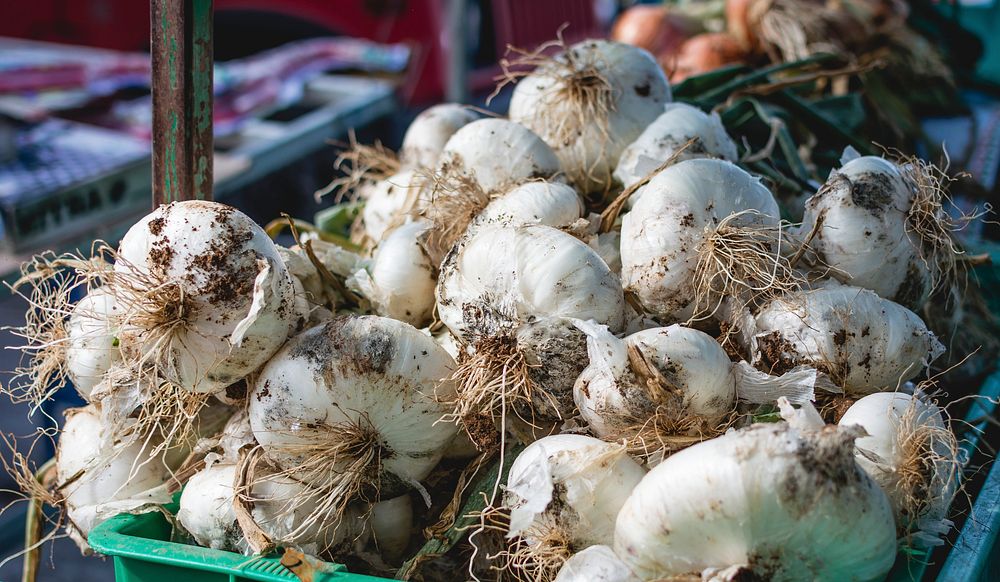 Garlic on a market