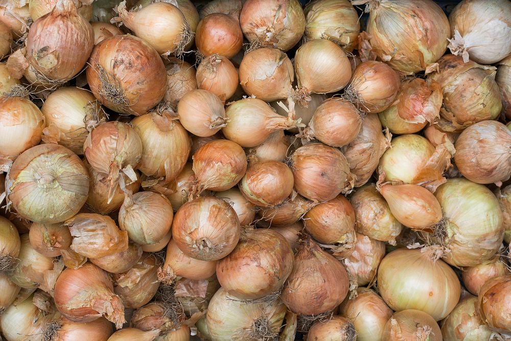 Onions in a farmers' market