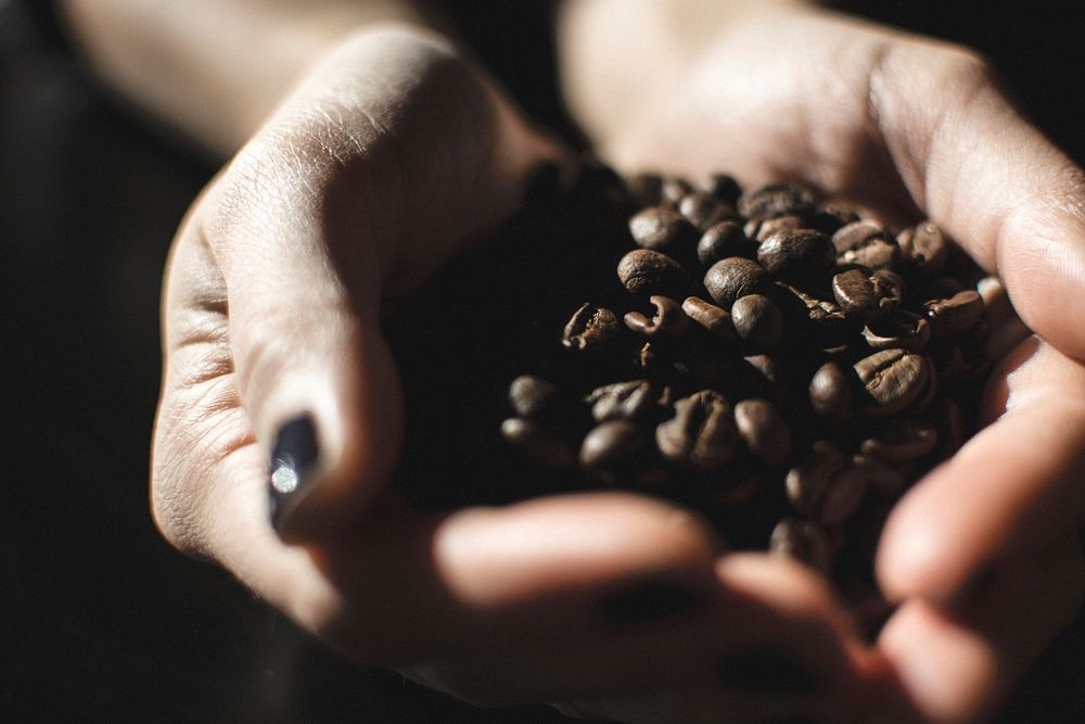 Hand holding coffee beans