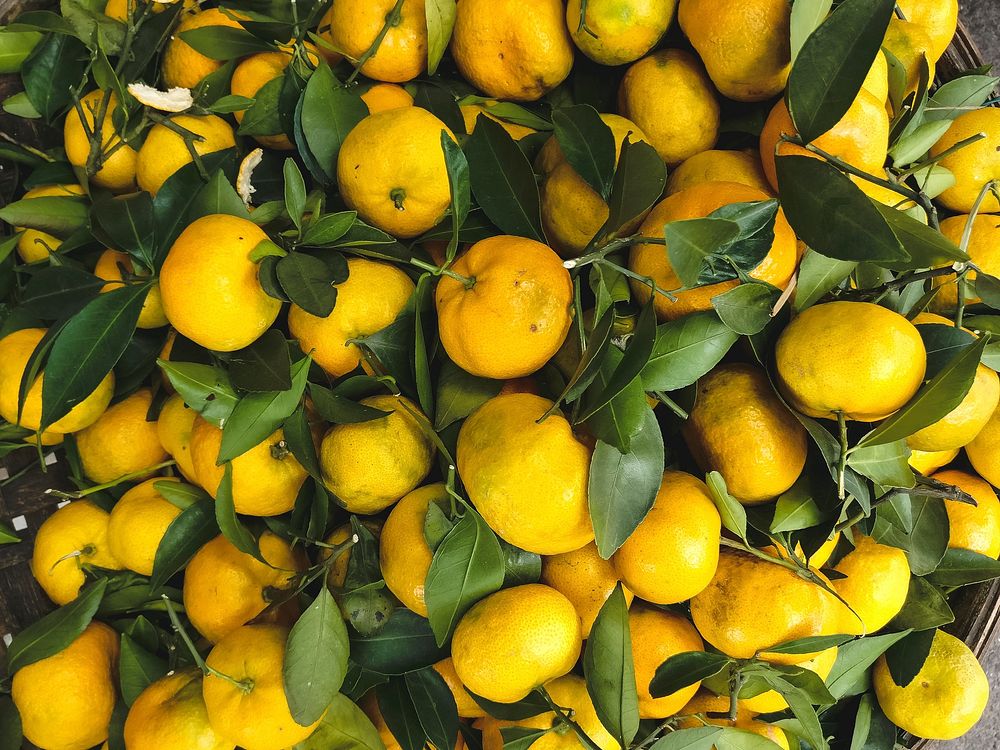 Pile of fresh lemons
