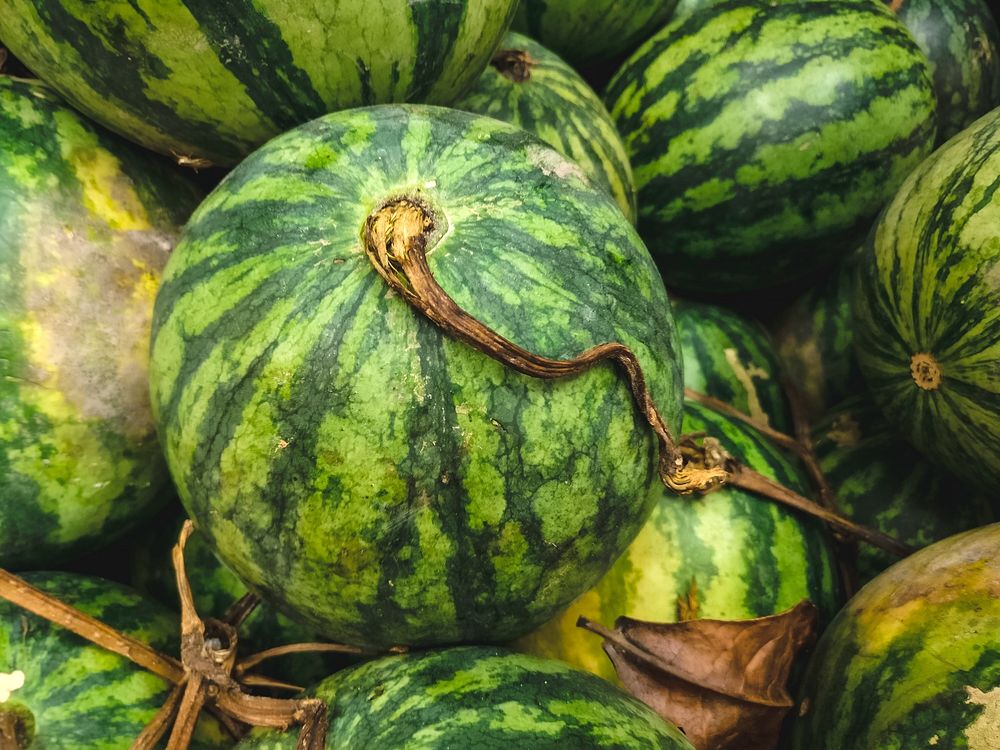 Closeup of fresh watermelon