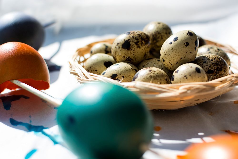 Painting quail eggs for Easter