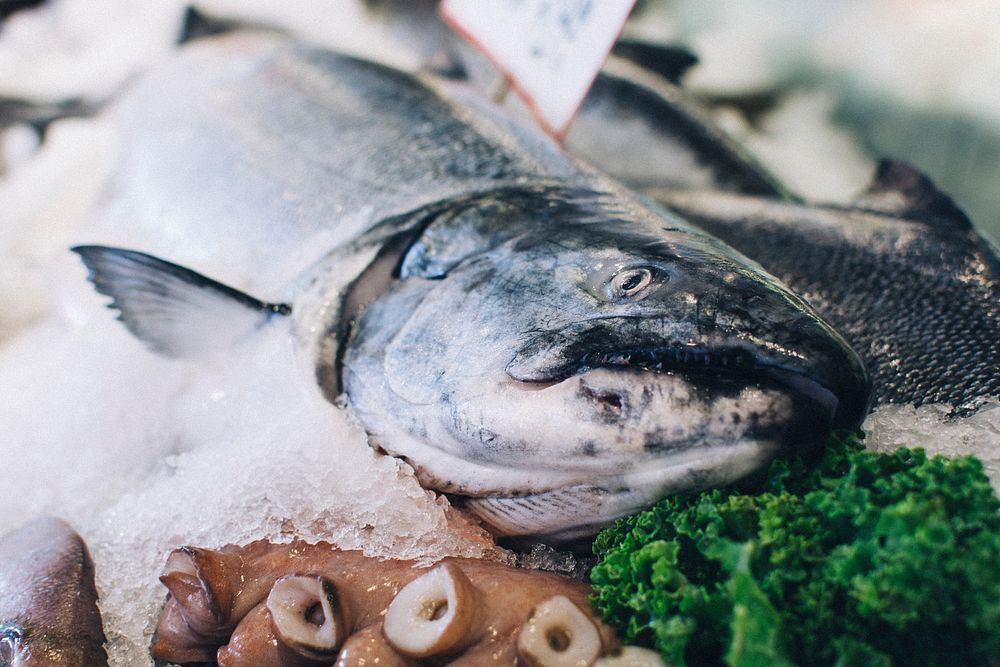 Fish being sold at a fish market