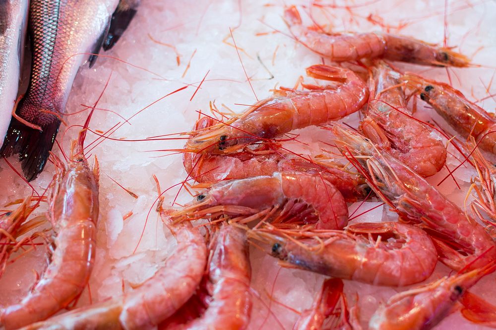 Shrimps being sold at the market