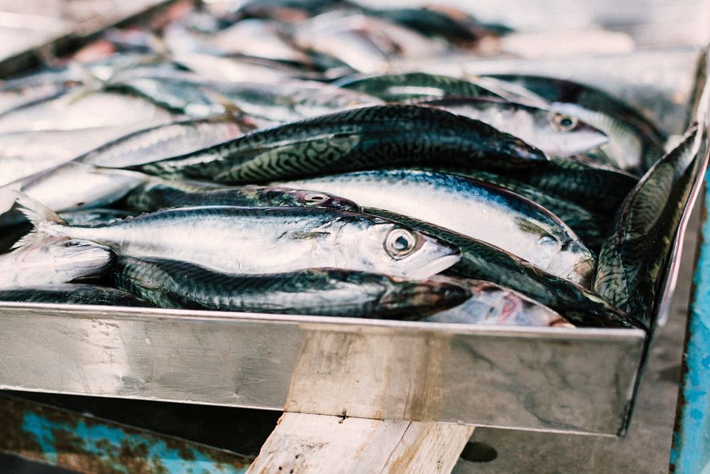 Fresh fish at the market