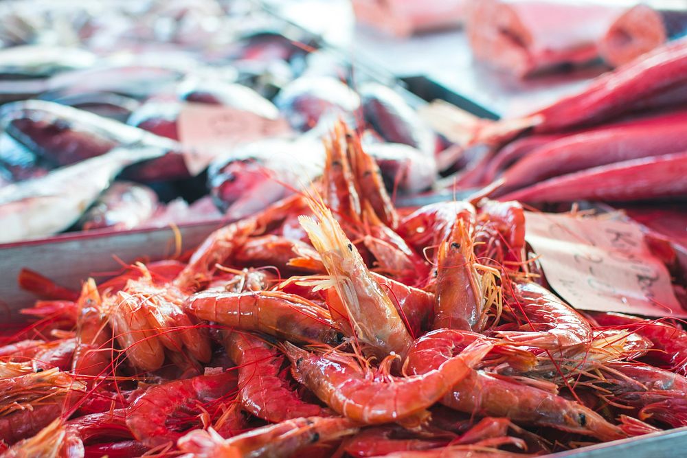 Shrimps being sold  in a fish market